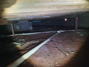 Termite inspection underneath home